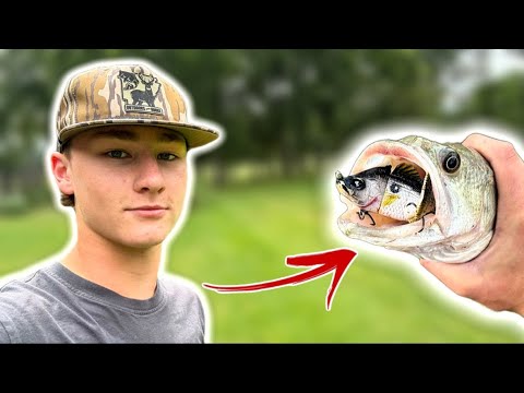 Pond Bass Can’t Resist A Swimbait! (Bank Fishing)