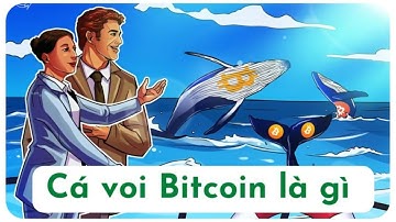 Cá voi Bitcoin là gì và cách theo dõi cá voi Bitcoin là gì ❤️ Kinh nghiệm giao dịch
