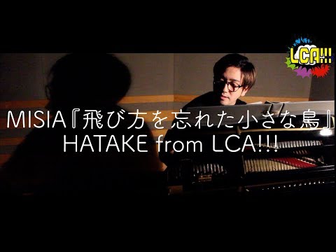 男性が歌う】MISIA「飛び方を忘れた小さな鳥」カバー動画 (ラスト何か