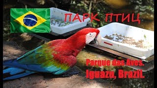 Парк птиц, Игуасу, Бразилия. Parque das Aves. Parque Nacional do Iguazu, Brazil.