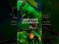تلاوة تفوق الوصف بصوت تخشع له القلوب #تلاوة #اكسبلور #المصحف #aslam #duet #trend #islamic_video