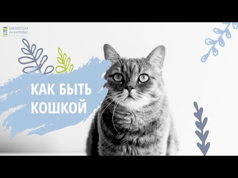 Книжный обзор "Как быть кошкой"