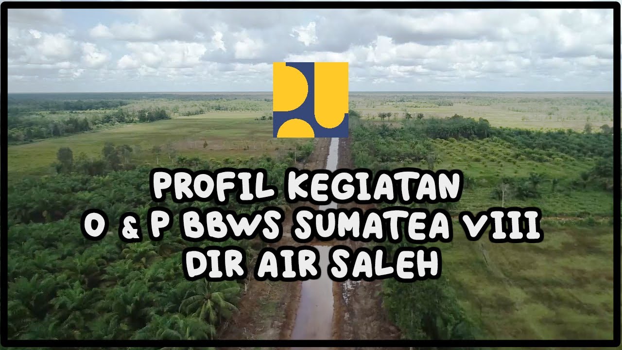 Profil Kegiatan Daerah Irigasi Rawa Air Saleh Kabupaten Banyuasin Provinsi Sumatera Selatan
