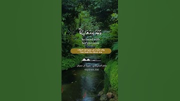 " قالت هو من عند الله " || سورة آل عمران الآية [ 37 ] ~ الشيخ ماهر المعيقلي