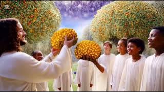 AMAZING IN THE HEAVEN