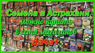 Семена Астрахань видео Арбуз Астраханский - Семена почтой - Семена почтой - Интернет - магазин - Семена