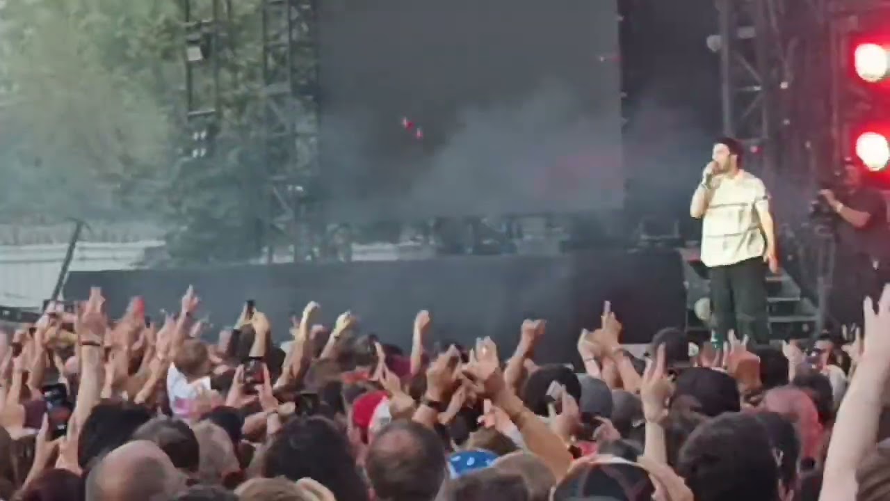 Fontaine DC Live Paris Rock en Seine 24 août 2025 