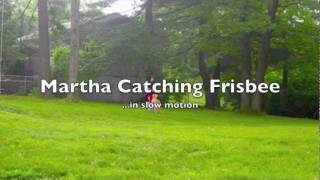 Martha Catching Frisbee (in slow motion)