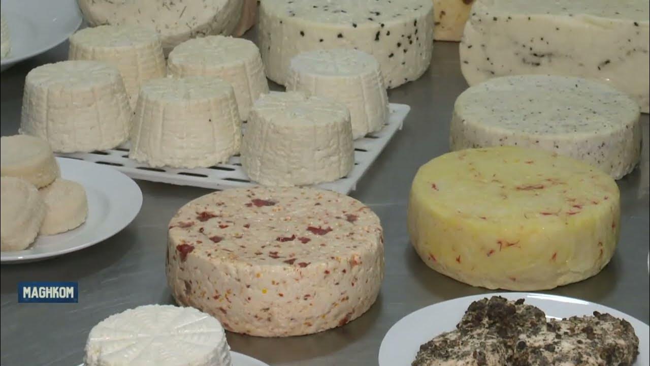 Local Maltese Artisan Cheeses hand made at a dairy farm in Siggiewi YouTube