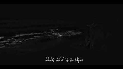 ﴿فمن يرد الله أن يهديه يشرح صدره للإسلام﴾ ماهر المعيقلي|تلاوة قصيره