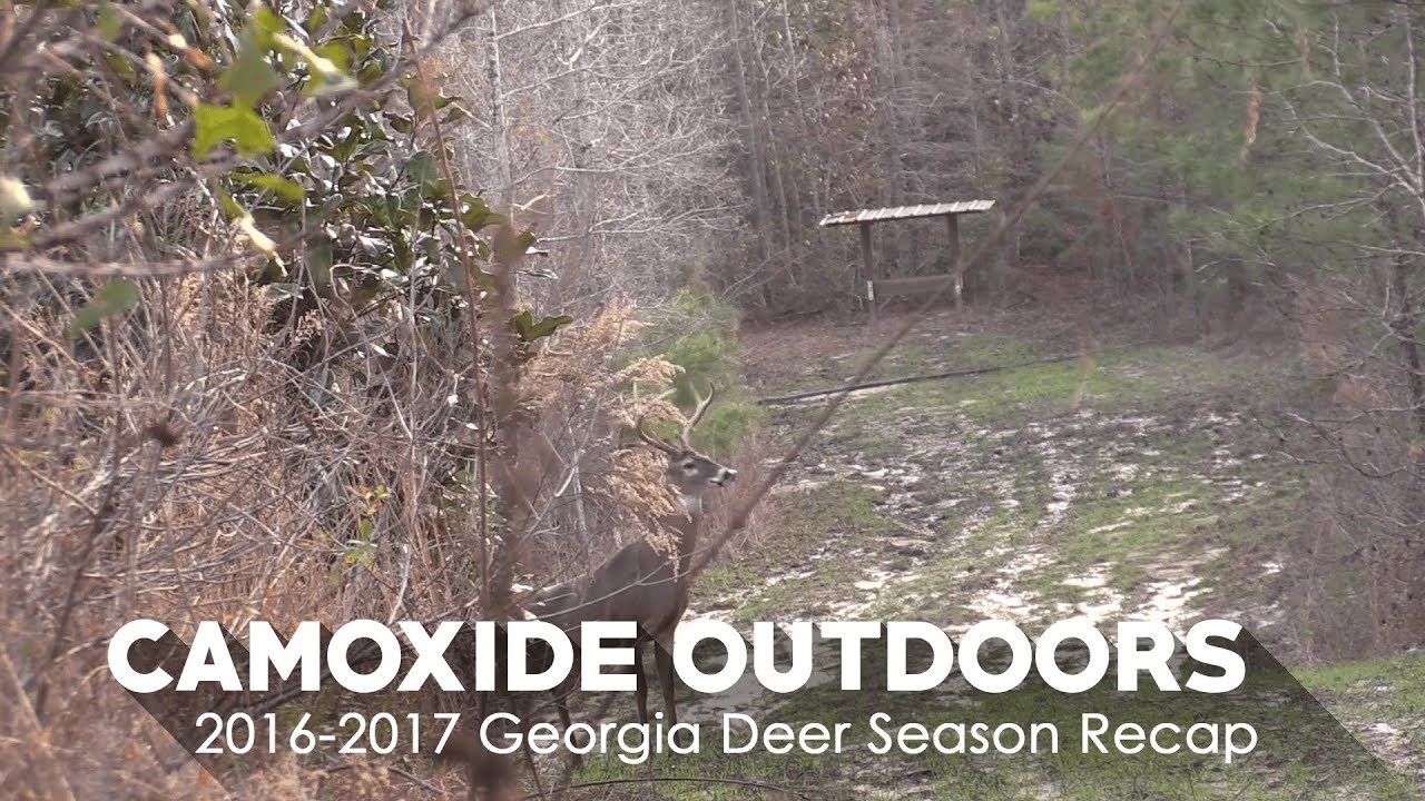 2016-2017 Georgia Deer Season Recap - YouTube