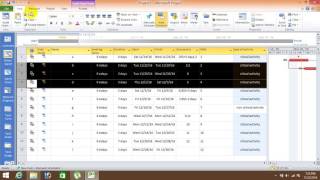 microsoft project (how to creat a WBS in MSP)