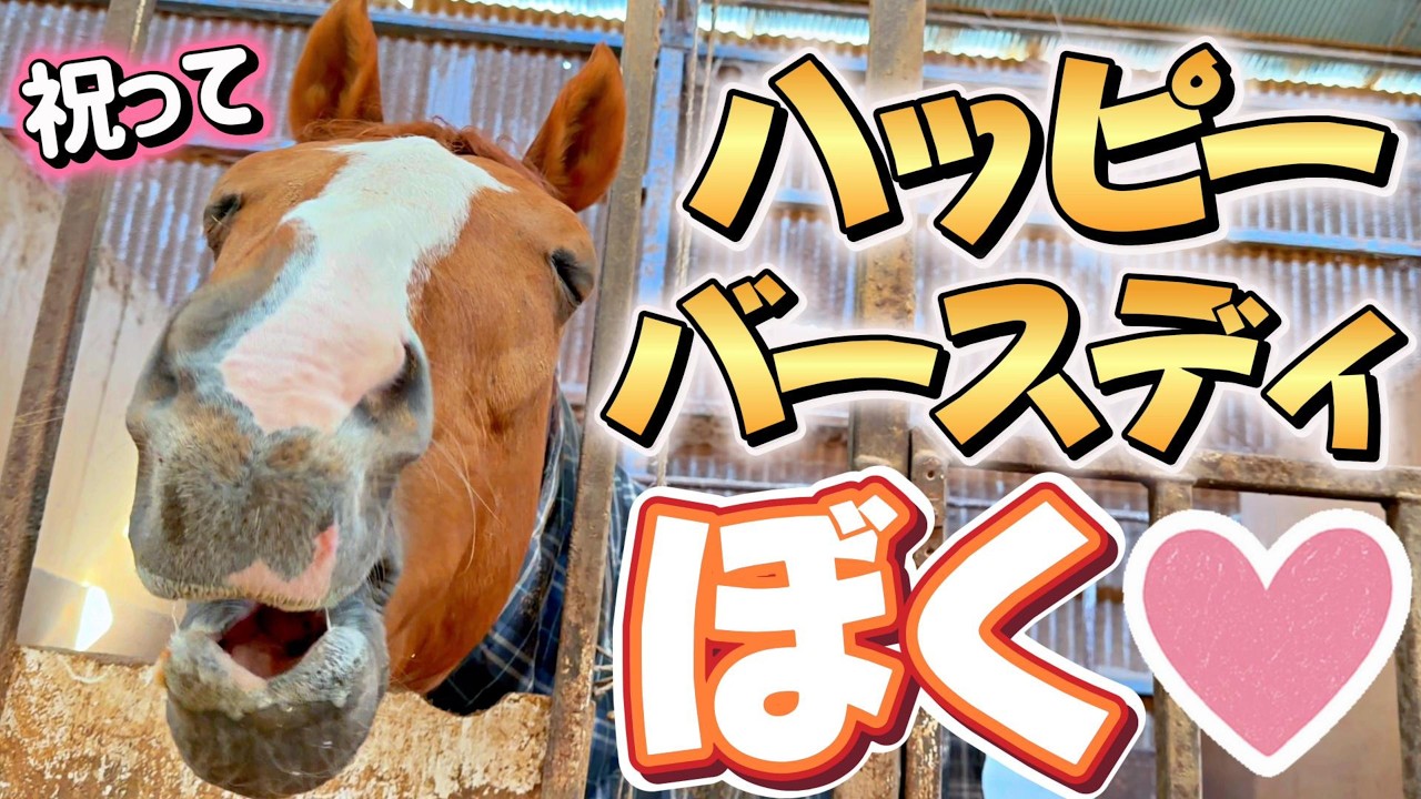 超陽キャで変顔が大得意な引退競走馬きんちゃんが3月に誕生日を迎える