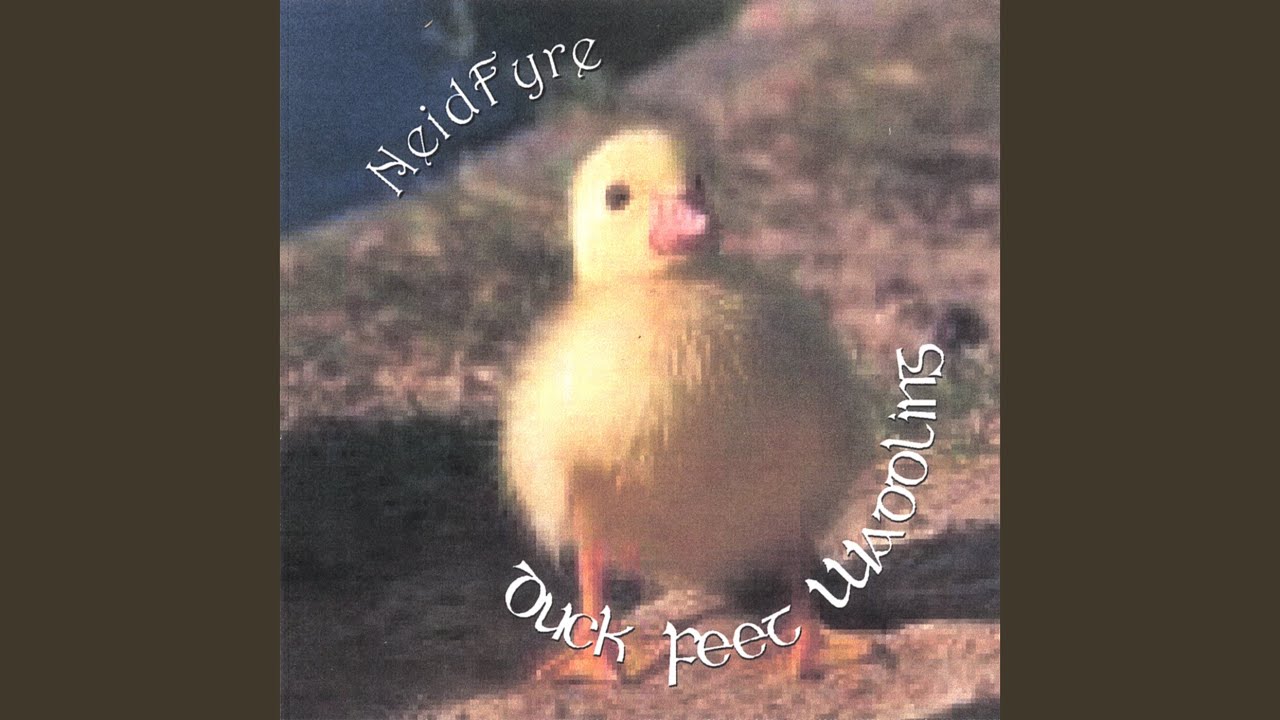 Here We Go a Waddling