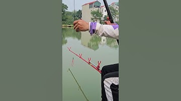 Chia sẻ cách cân phao câu lửng câu rơi trắm đen #cauca #dungnguyenfishing #caucagiaitri
