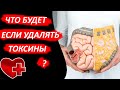 Что будет, если удалять токсины из кишечника?