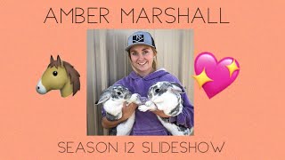 Heart in two -Season 12 Slideshow-Amber Marshall