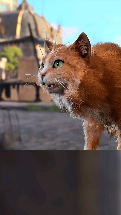 Baldur's Gate 3 | Coolest Cat Ever!