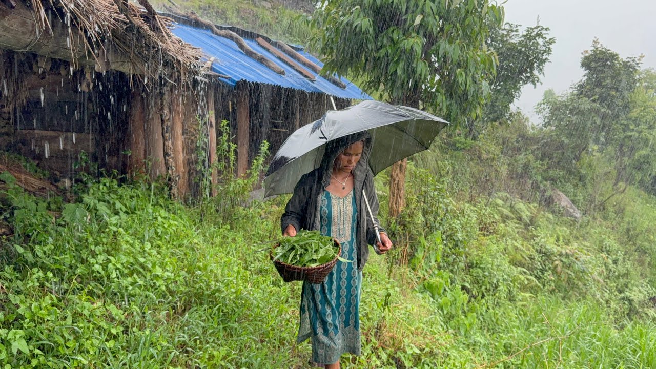This is Himalayan Village  During the Heavy Rainy Season |Daily Activities People in Village Life