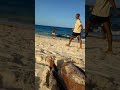 Futebol skills ⚽ 2025 tutorial da praia os melhores momentos de freestyle skills ⚽ de Moz viral 2025