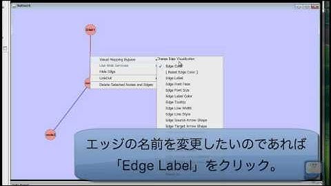 Cytoscape を使い倒す！～基本操作編～