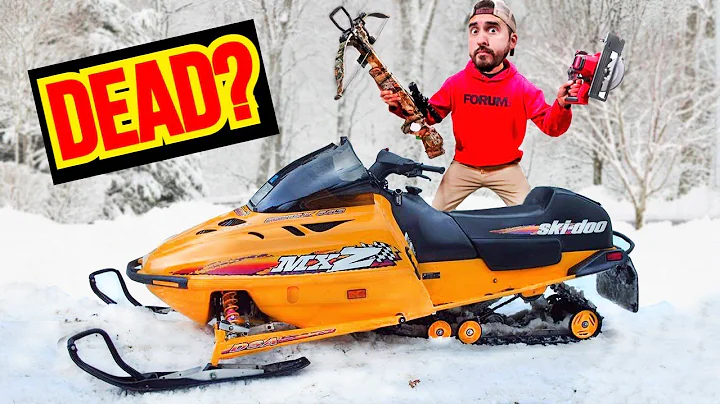 Is My Ski Doo MXZ Snowmobile DEAD?? (I NEED THIS F...