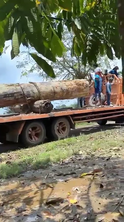 generasi 2024 LINGGARJATI ⭐. #masukberanda #riauhits  #kuansing #kuansingriau #storywa #17agustus