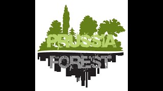 Пруссия Форест 1 этап чемпионата 2020 года по трофи-рейдам