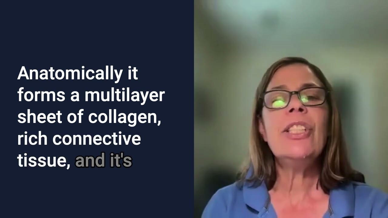 Shockwave Therapy and Fascia Nociceptors: Insights from Veterinary Medicine