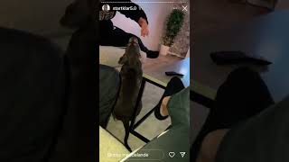 Andreas Startklar Får Utbrott På En Hund