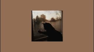 laufey - falling behind (instrumental slowed/reverb   rain sounds)