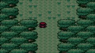Pokemon Polished Crystal - Hidden Grotto Locations (Version 3.0 Beta)