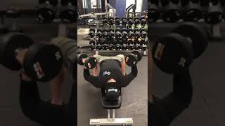 DB (2) Eccentric-Isometric Bench Press