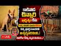 LIVE🔴: కుక్క చ*పోక ముందు ఇంత విచిత్రంగా చేసిందా  | Dog d*es in Tuni missing child case |Samaj Media
