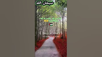 سورة مريم #قران الGod #Free Palestine #Surat Maryam كريم #فلسطين حره#الله#والحمد لله على كل حال. ☺️