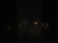 Minecraft Silent Hill #Minecraft #silenthill #games #calm #спокойствие #asmr #игры #спокій