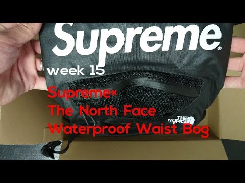 supreme north face waterproof waist bag