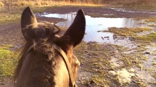 VLOG | Christmas Hacking