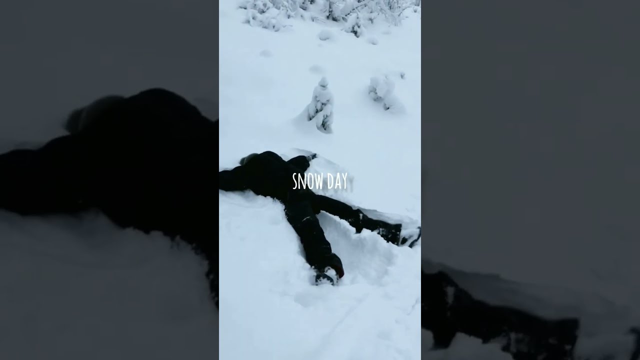 Mini Velog Snow Photography