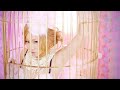 【Premium】倖田來未 - ピンク スパイダー