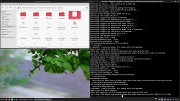 Arco : 4259 Migrating ArcoLinux Chadwm to Peppermint OS - workflow