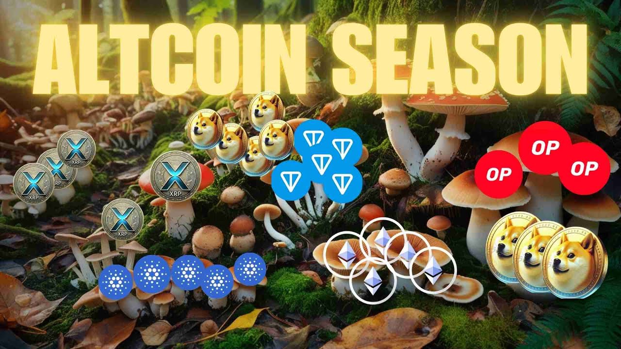 Altcoin season coming ! - YouTube