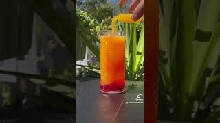 Garibaldi | Campari and orange juice cocktail - recipe and tutorial screenshot 4