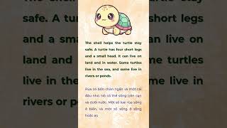 Talk about Turtles | Slow English | English Listening Time | English Practice #englishshorts