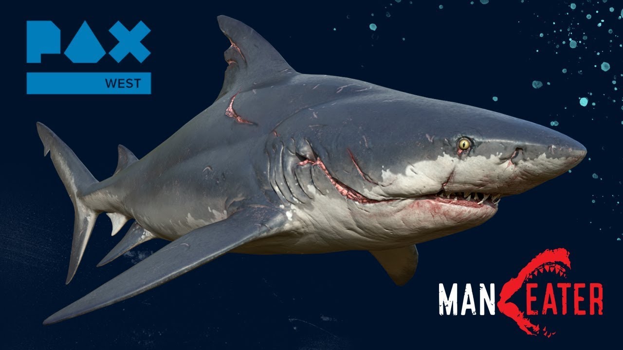 Maneater, Tripwire's shark RPG, is another Epic Games Store exclusive