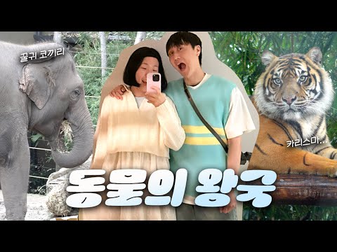 🇦🇺 호주는 동물들이 코 앞에까지 와요...귀엽게 /시드니 여행 브이로그