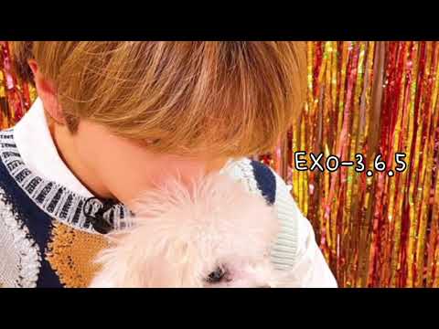 [NCT/지성] 박지성씨 목소리에 꿀발랐나요?