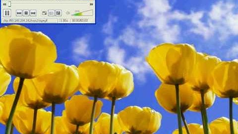 Alinking VLC RTSP Setting ,3GPP