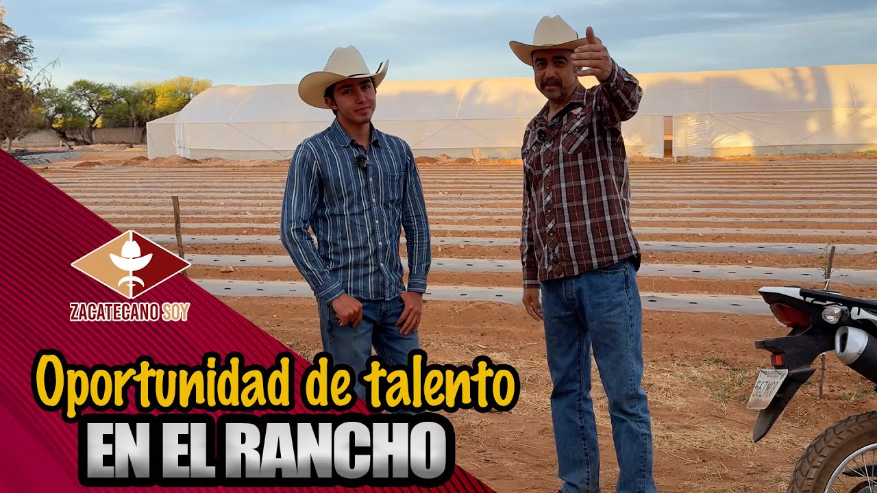 UNA GRAN OPORTUNIDAD para hacer un negocio