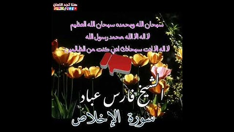 سورة الإخلاص | الشيخ فارس عباد،، استغفر الله العظيم واتوب اليه